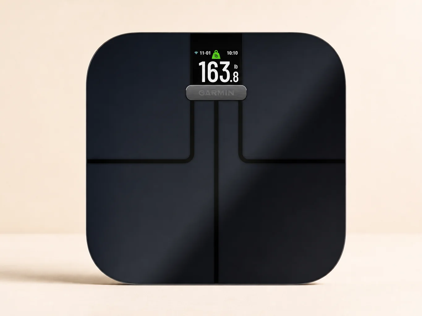 Garmin Index S2