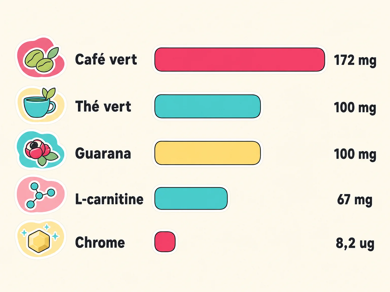 Composition de Brûleur Moka : café vert, thé vert, guarana, L-carnitine, chrome