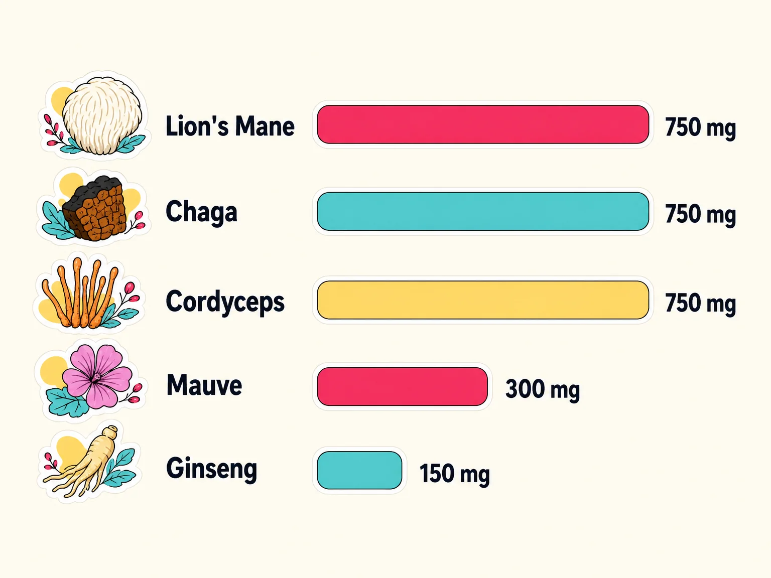 Composition du café Bonjour et dosages des champignons